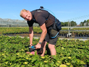 A man wearing T-shirt and shorts under a Laevo FLEX Back Exoskeleton while bending over to pick up a machine from a field of potted plants.